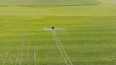 Tarım Ürünleri Üretici Fiyat Endeksi (Tarım ÜFE) ağustosta bir önceki