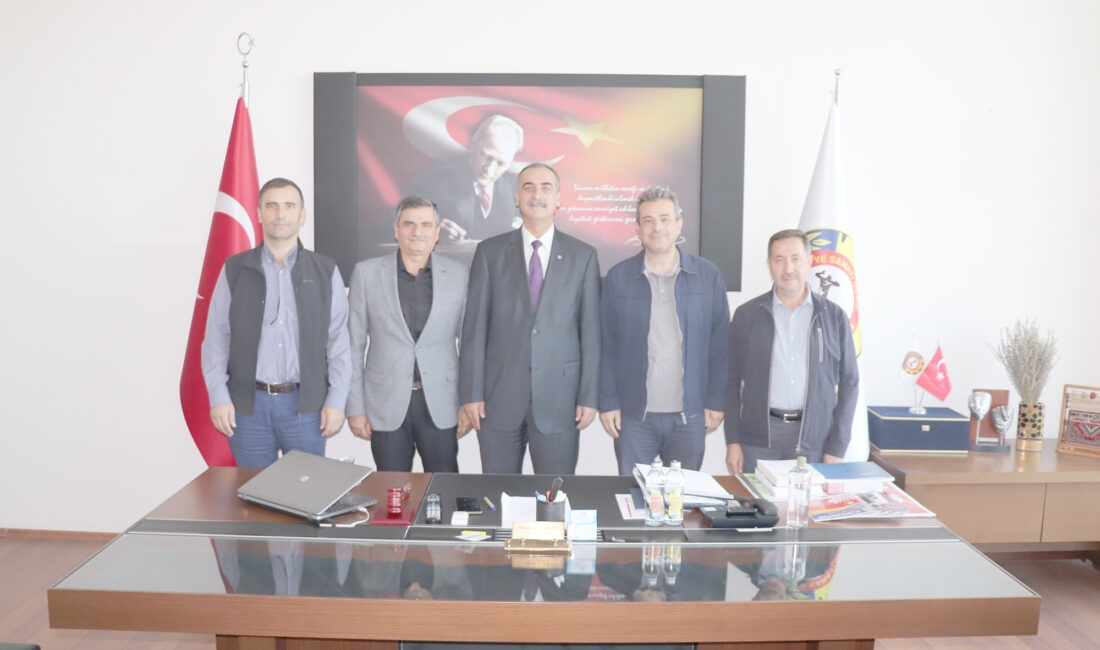 Yeminli Mali Müşavir Seyfettin Bekmezci, Mali Müşavir ve Bağımsız Denetçiler