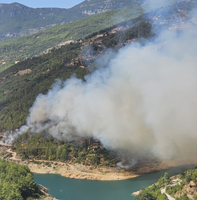 Antalya’nın Alanya ilçesinde orman yangını çıktı. Rüzgarın etkisiyle alevler kısa