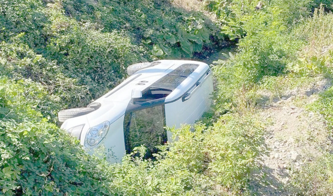 Düzce’de park halindeki hafif ticari araç, el freni çekili olmadığı