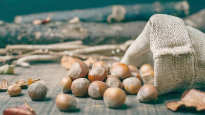 Toprak Mahsulleri Ofisi (TMO) Genel Müdürü Ahmet Güldal, TMO fındık