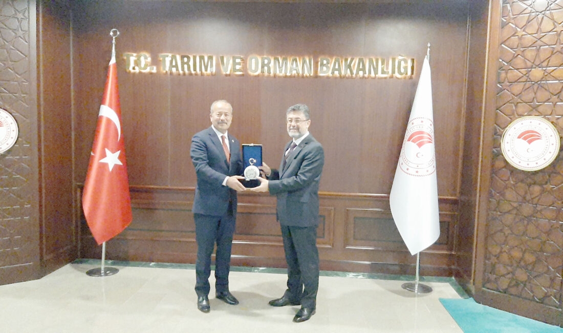Milliyetçi Hareket Partisi MYK Üyesi ve Afyonkarahisar Milletvekili Mehmet Taytak,