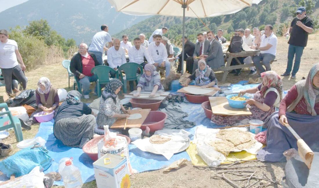 Afyonkarahisar’ın ilçe ve köylerinde temaslarda bulunan MHP Afyonkarahisar Milletvekili Mehmet
