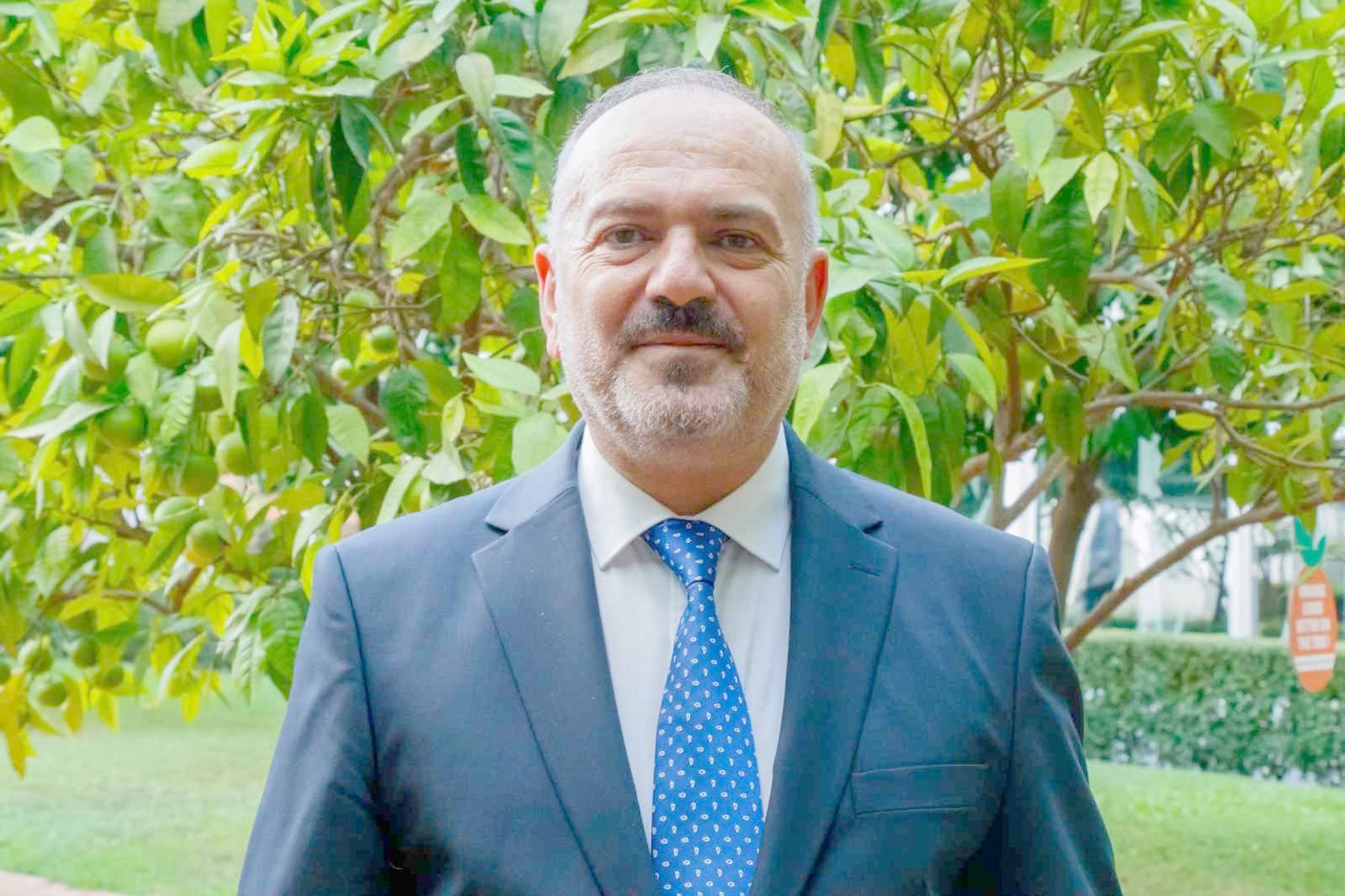 Türkiye Yaş Meyve Sebze Sektör Kurulu Başkanı Ali Kavak, rekoltenin