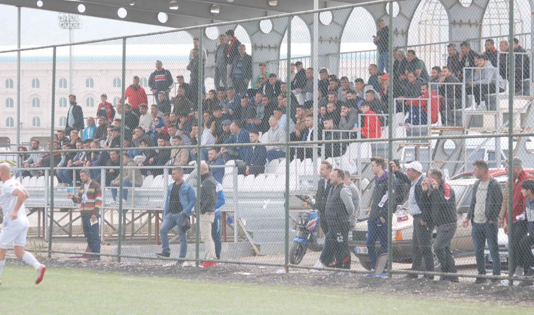 Geçmiş yıllarda profesyonel liglerde de yer almasına rağmen bir süredir