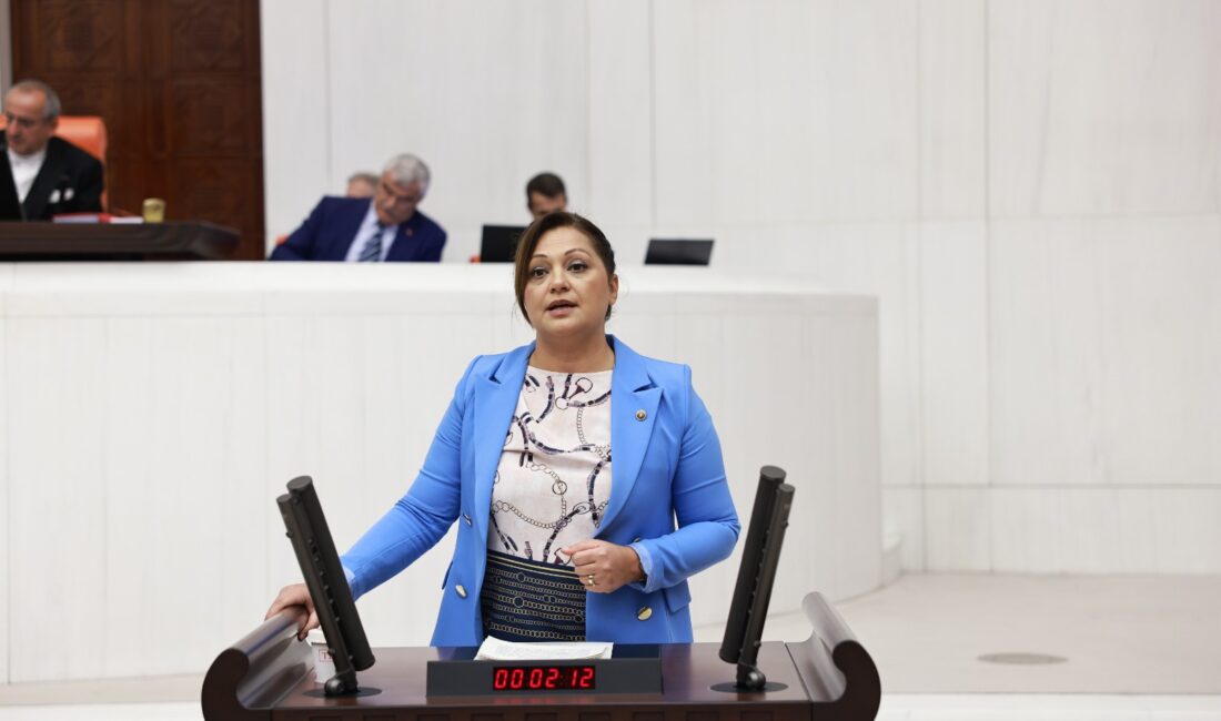 Fethibey’li biber üreticilerinin sıkıntılarını TBMM’de dile getiren CHP Grup Başkanvekili 