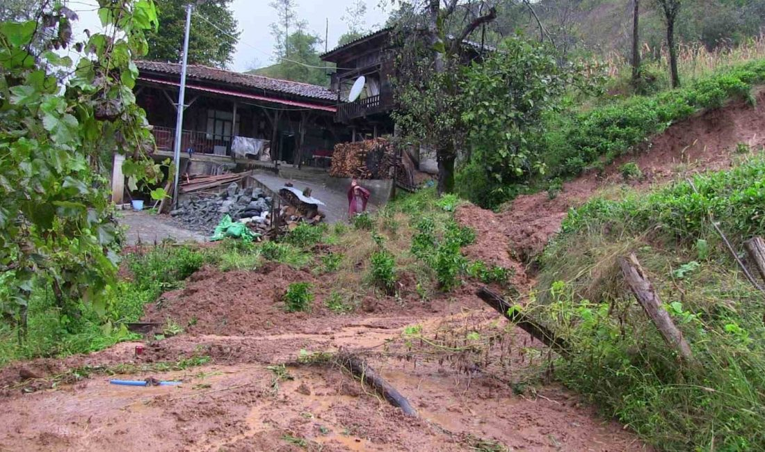 Artvin’i etkisi altına alan şiddetli yağışlar nedeniyle Borçka ilçesinde heyelan