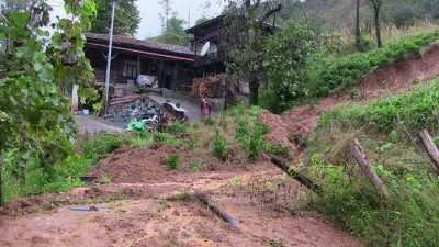 Artvin’i etkisi altına alan şiddetli yağışlar nedeniyle Borçka ilçesinde heyelan