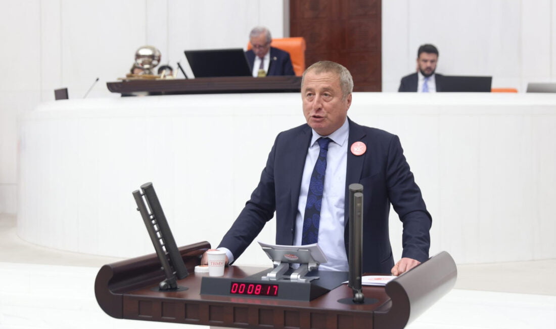 İYİ Parti Afyonkarahisar Milletvekili Av. Hakan Şeref Olgun, TBMM Genel