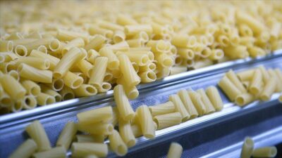 Türkiye Makarna Sanayicileri Derneği (TMSD) Başkanı Aykut Göymen, sektörün yılın