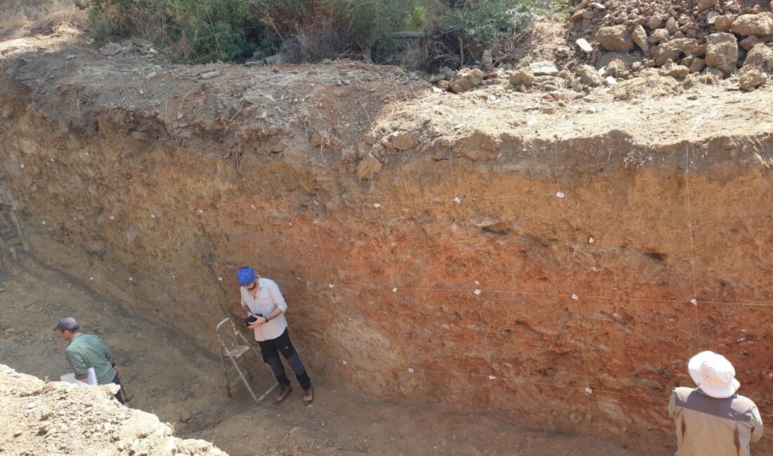 Dokuz Eylül Üniversitesi Deprem Araştırma ve Uygulama Merkezi (DAUM) Müdürü