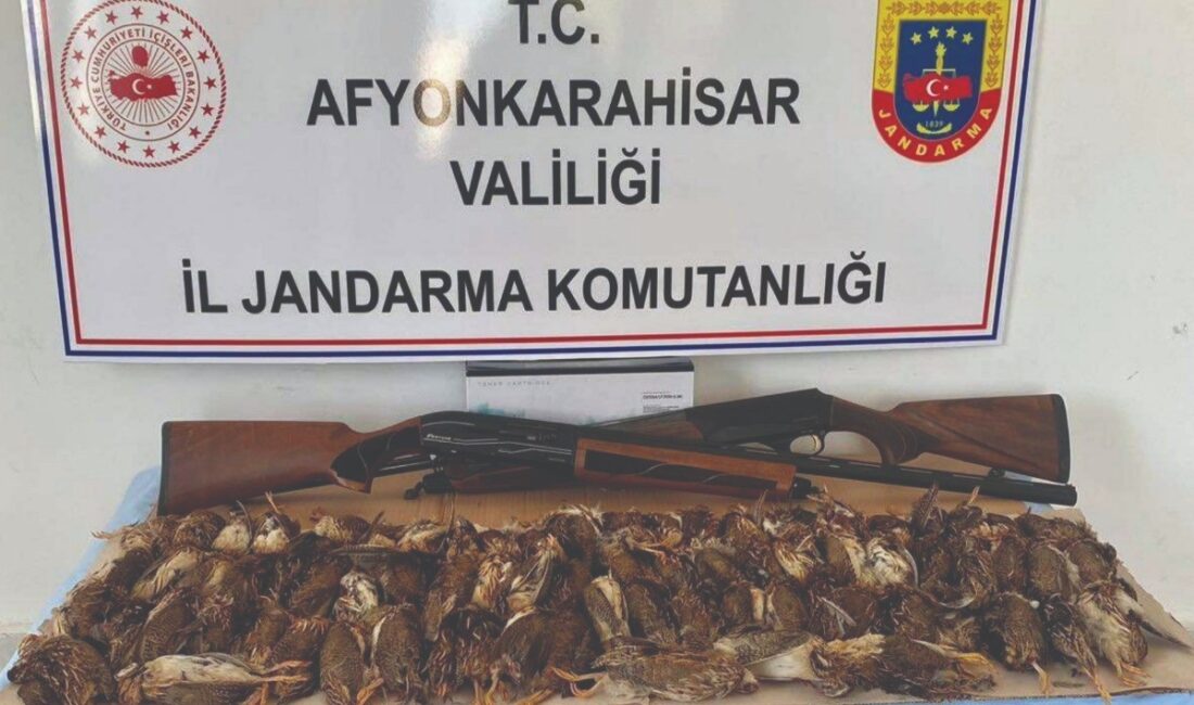 Kaçak avcılar yakalandı Afyonkarahisar’da 77 bıldırcını kaçak olarak avlayan 2 şahıs jandarma tarafından