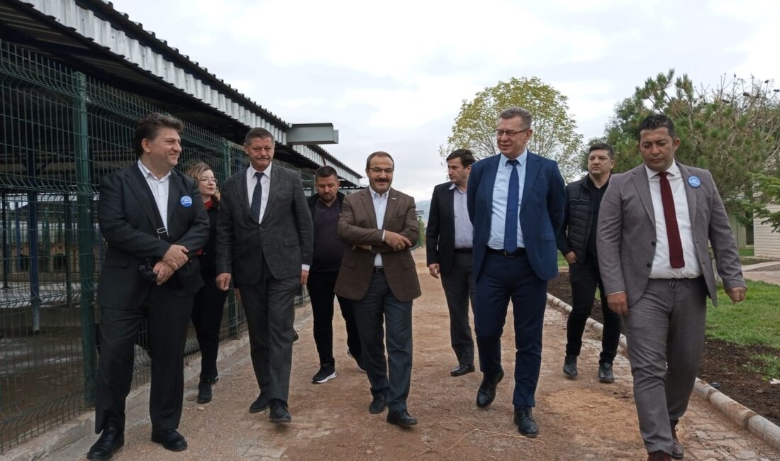 Sokak hayvanlarının beslenme, barınma, kısırlaştırma, bakım ve tedavi ihtiyaçlarını karşılamak
