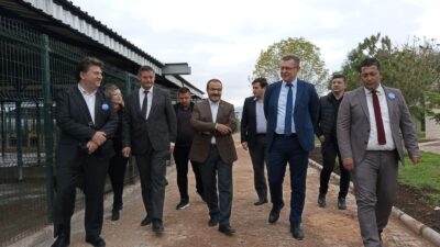 Sokak hayvanlarının beslenme, barınma, kısırlaştırma, bakım ve tedavi ihtiyaçlarını karşılamak