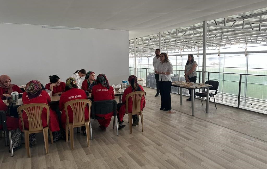 Afyonkarahisar’ın Sandıklı ilçesinde bir domates serası işletmesinde kadınlar için 15