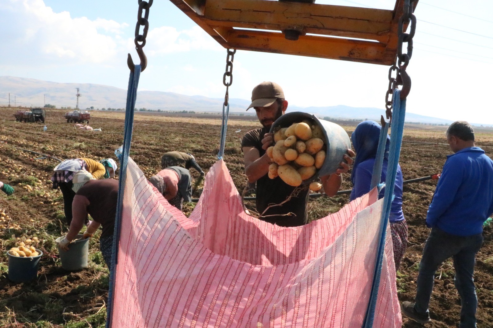 Afyonkarahisar’ın Sandıklı ilçesinde temmuz ayında başlayan patates hasadının sonuna yaklaşılırken,