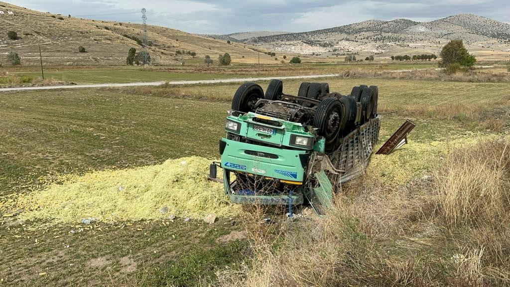 Afyonkarahisar’da kontrolden çıkarak devrilen kamyondaki 13 ton mısır silajı ziyan