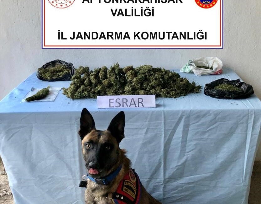Afyonkarahisar’ın Başmakçı ilçesinde uyuşturucu yetiştirip sattığı iddia edilen 3 kişi