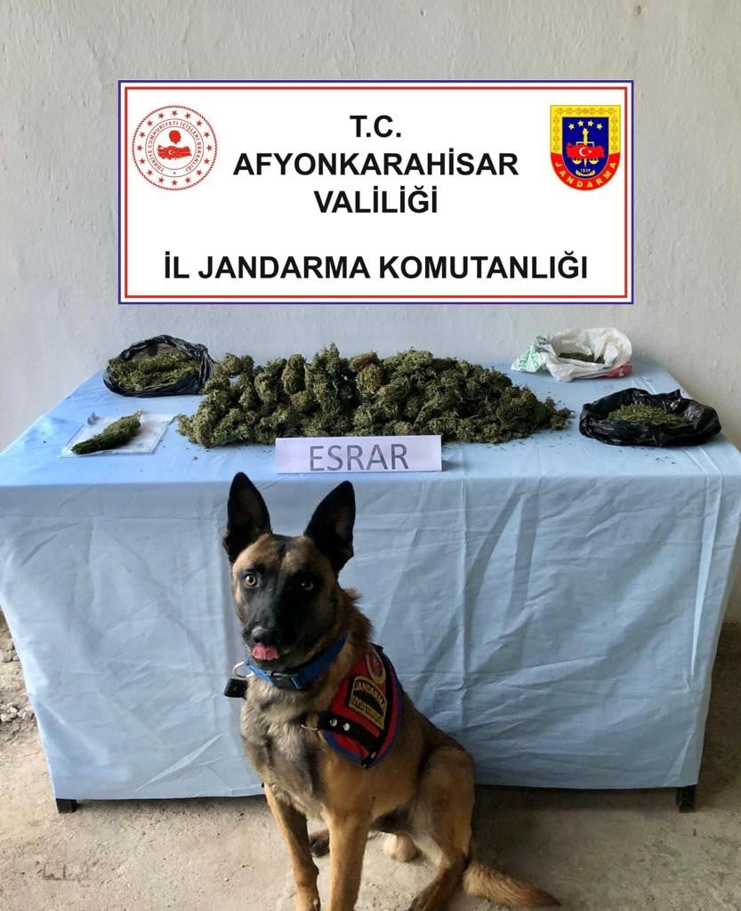 Afyonkarahisar’ın Başmakçı ilçesinde uyuşturucu yetiştirip sattığı iddia edilen 3 kişi