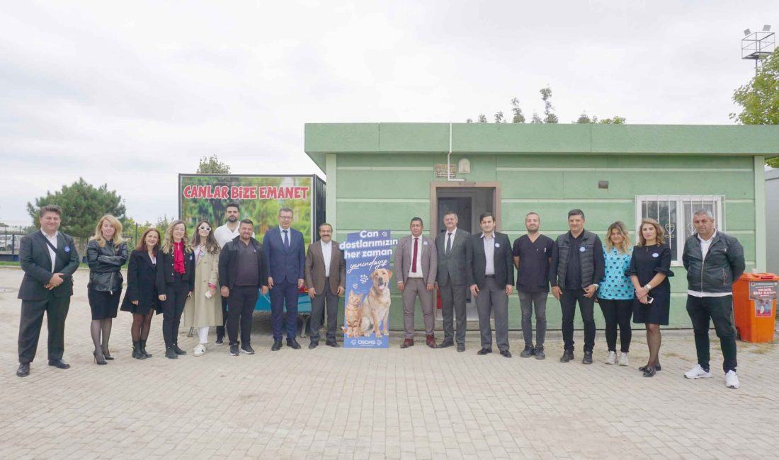 Sokak hayvanlarının beslenme, barınma, kısırlaştırma, bakım ve tedavi ihtiyaçlarını karşılamak