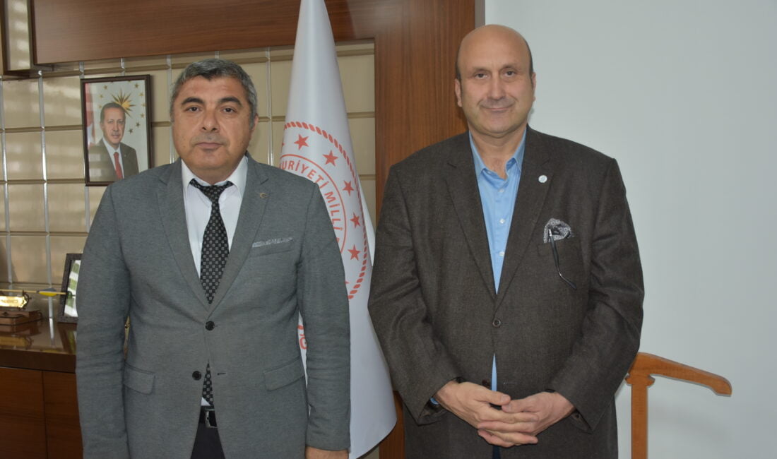 Sosyal Medya ve Dijital Güvenlik Eğitim Araştırma Merkezi (SODİMER) Başkanı