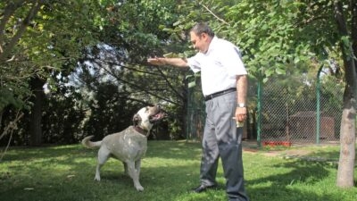 Orman ve Su İşleri eski Bakanı Prof. Dr. Veysel Eroğlu,