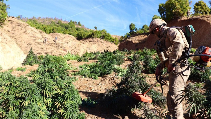Diyarbakır’da 864 kilo 800 gram esrar ve 2 milyon 33