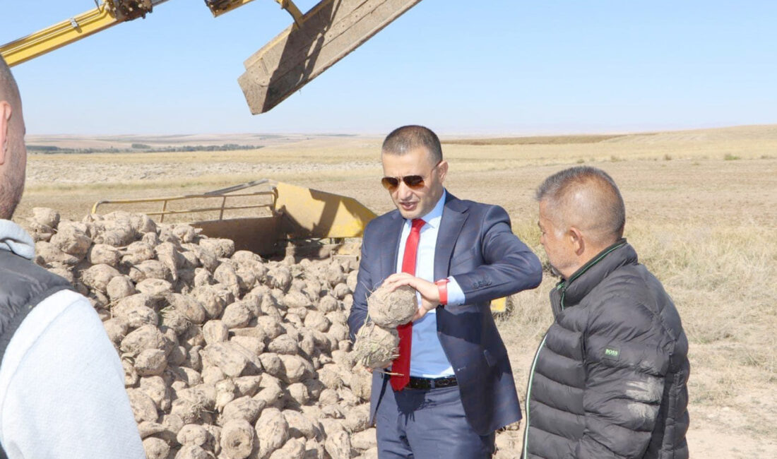 Afyonkarahisar’ın Emirdağ ilçesinde şeker pancarı hasadı devam ediyor. Emirdağ Kaymakamı