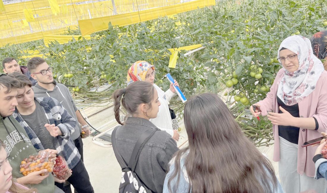 Afyon Kocatepe Üniversitesi (AKÜ) Sandıklı Meslek Yüksekokulu (MYO) Seracılık Programı
