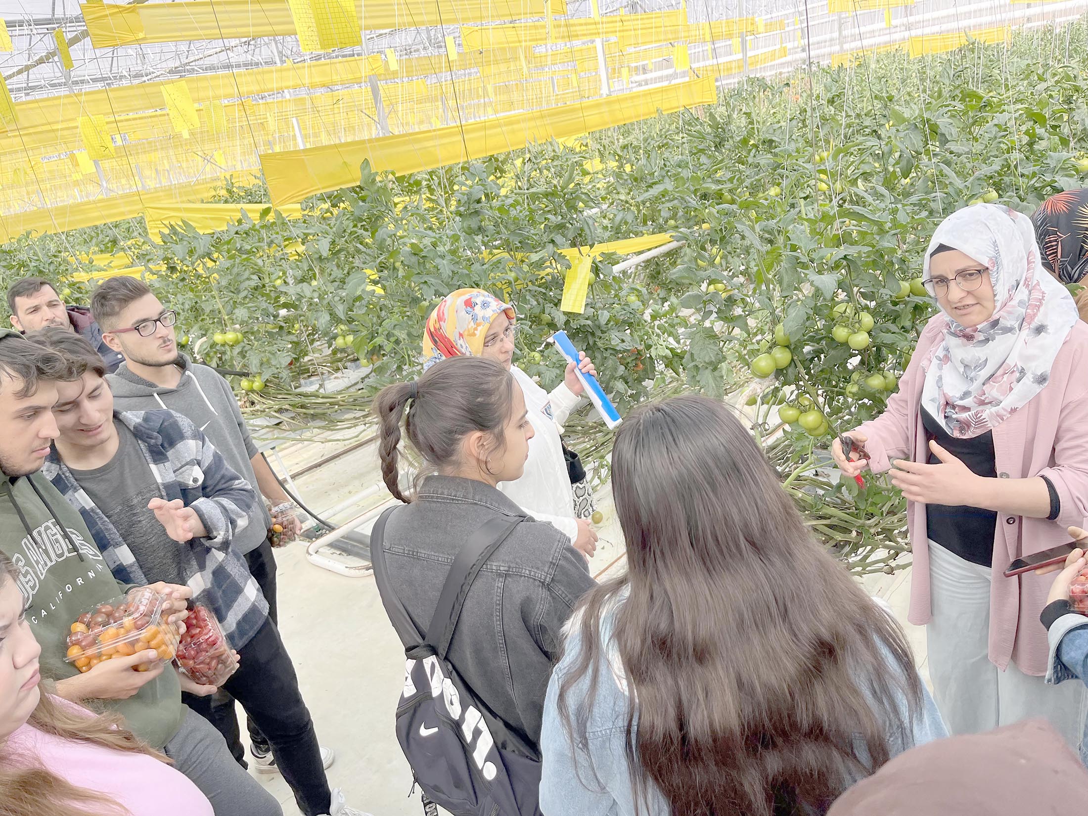 Afyon Kocatepe Üniversitesi (AKÜ) Sandıklı Meslek Yüksekokulu (MYO) Seracılık Programı