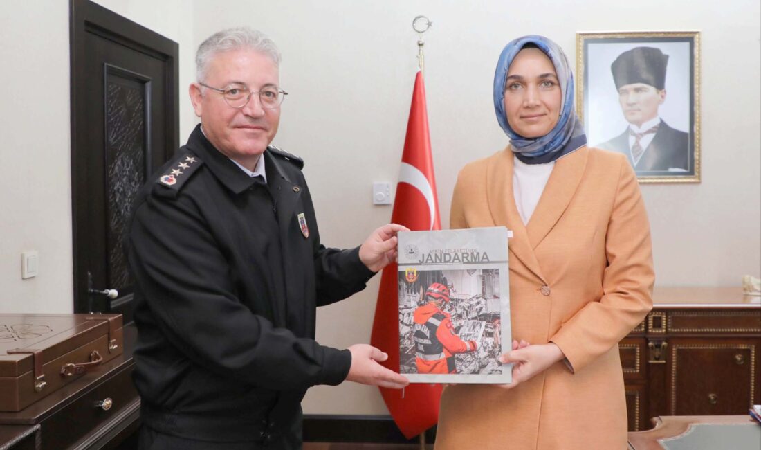 Vali Doç. Dr. Kübra Güran Yiğitbaşı başkanlığında Vali Yardımcısı Mehmet