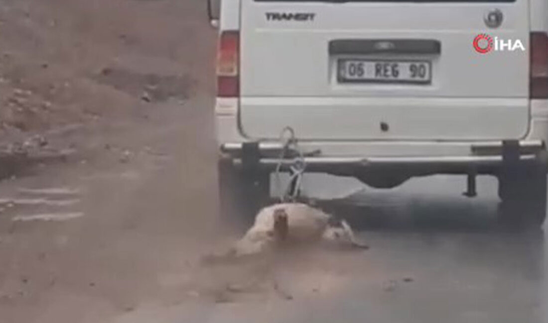 Kırıkkale’nin Sulakyurt ilçesinde bir sürücü, minibüsün arkasına bağladığı köpeği kilometrelerce
