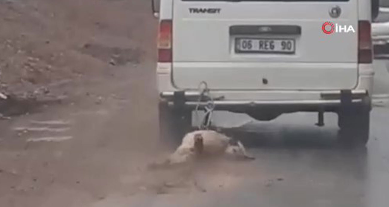 Kırıkkale’nin Sulakyurt ilçesinde bir sürücü, minibüsün arkasına bağladığı köpeği kilometrelerce