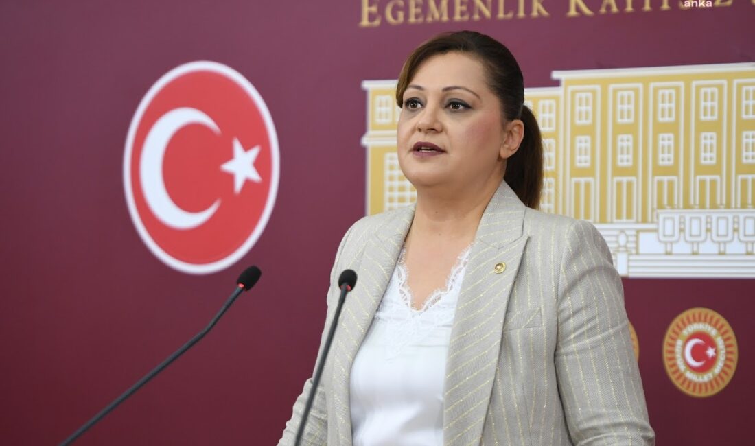CHP Genel Başkanı Özgür Özel, başarılı siyasetçi, CHP Afyonkarahisar Milletvekili