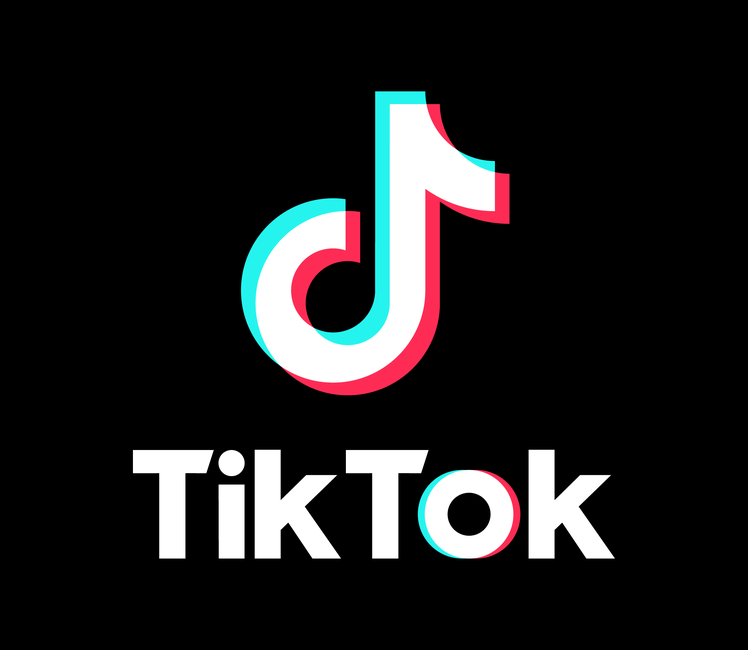 Çin’in sosyal medya platformu TikTok’u yasaklayan ülkelerin sayısı gün geçtikçe
