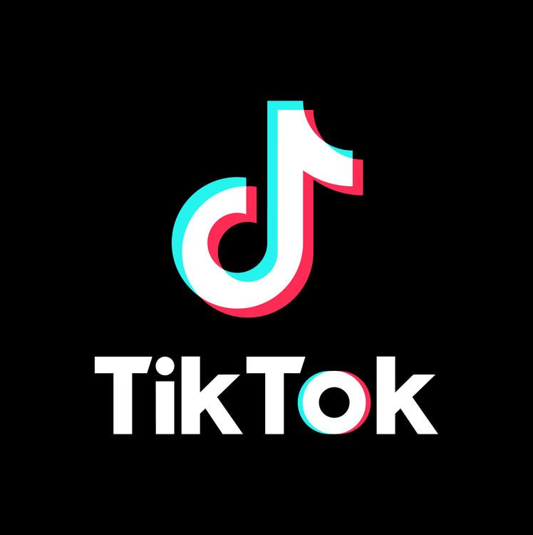 Çin’in sosyal medya platformu TikTok’u yasaklayan ülkelerin sayısı gün geçtikçe