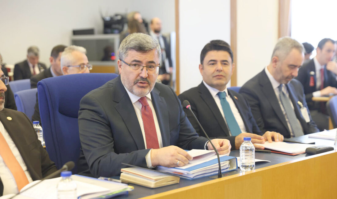 AK Parti Afyonkarahisar Milletvekili Ali Özkaya, toplam 28 kanun ile