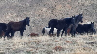 Sandıklı Dağcılık ve Doğa Sporları (SANDOS) üyeleri Kumalar dağına yaptığı
