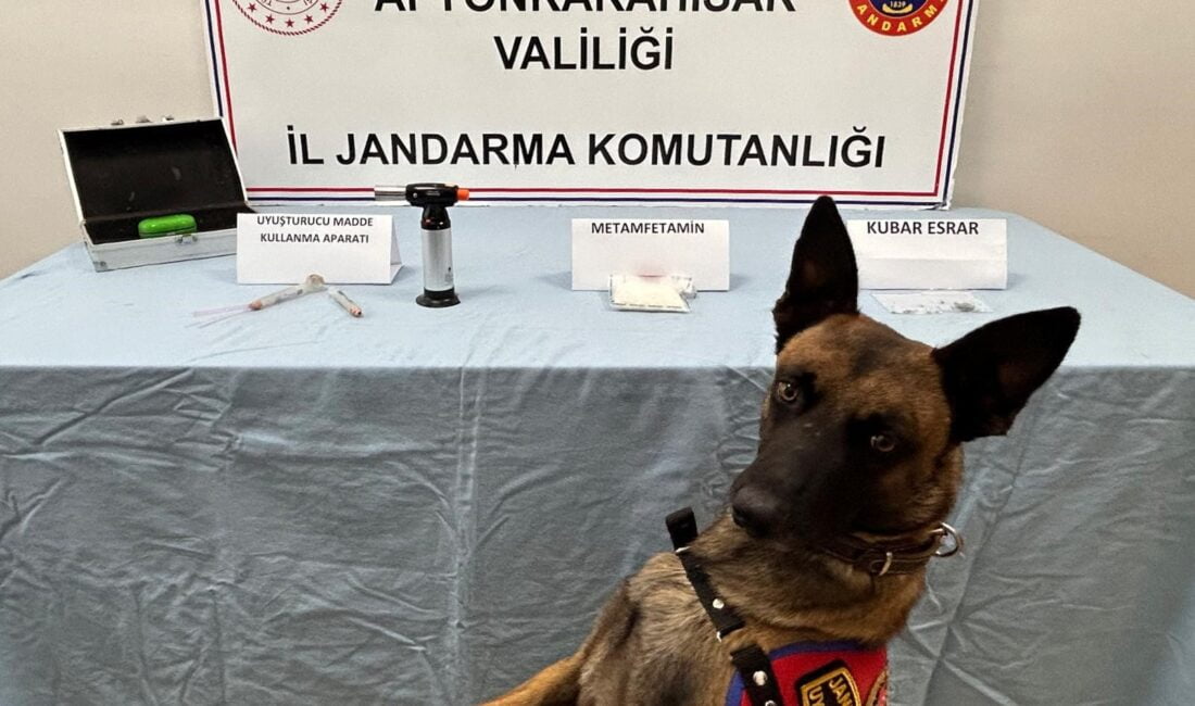 İstanbul’dan, Afyonkarahisar’a uyuşturucu getiren iki şahıs jandarma operasyonuyla yakalandı. Edinilen