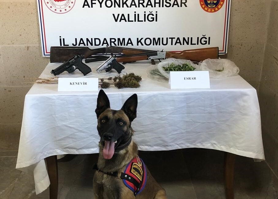 Jandarma kenevircileri yakaladı Afyonkarahisar’ın İhsaniye ilçesinde jandarma ekiplerini yaptığı operasyonda esrar, kenevir bitkisi,