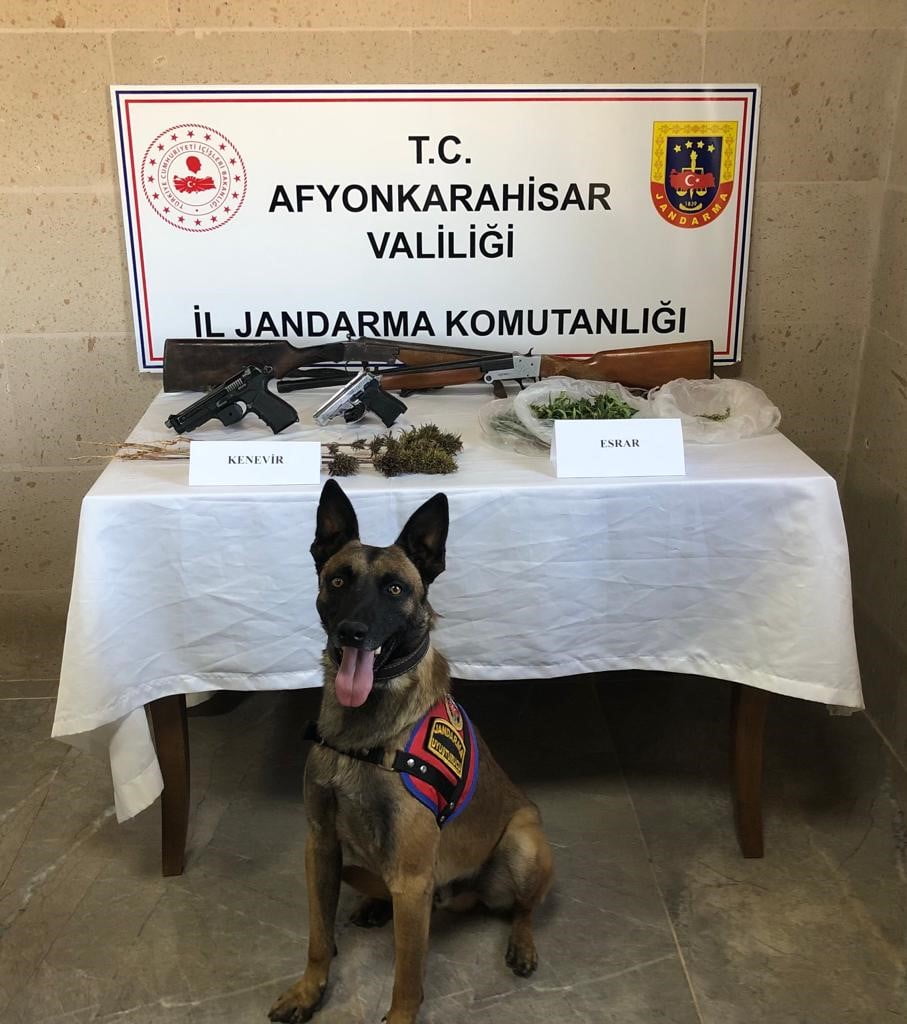 Afyonkarahisar’ın İhsaniye ilçesinde jandarma ekiplerini yaptığı operasyonda esrar, kenevir bitkisi,