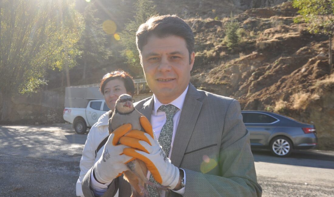 Afyonkarahisar’da tedavisi tamamlanan yırtıcı kuşlar ile popülasyonu arttırmak ve ekosistemin