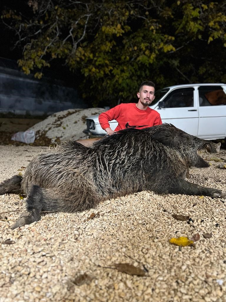 Antalya‘nın Elmalı ilçesinde bir genç, bahçesine ve köpeğine zarar veren