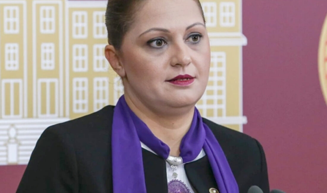 CHP Grup Başkanvekili ve Afyonkarahisar Milletvekili Burcu Köksal, bir çocuğun