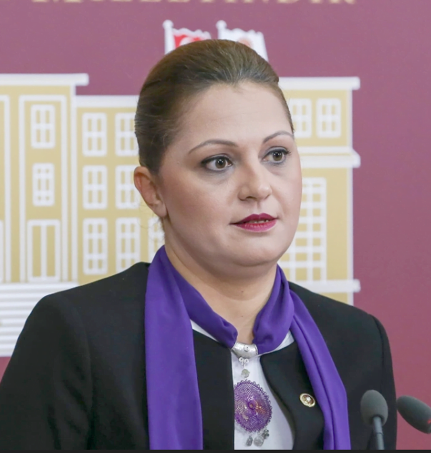 CHP Grup Başkanvekili ve Afyonkarahisar Milletvekili Burcu Köksal, Çalışma ve