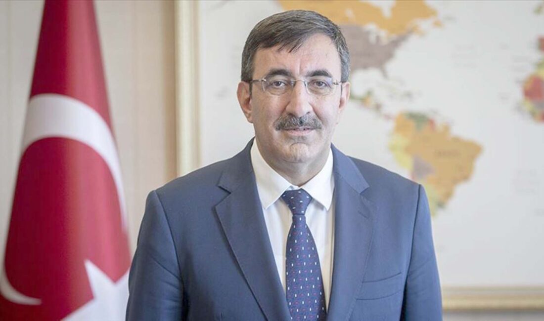 Cumhurbaşkanı Yardımcısı Cevdet Yılmaz, kademeli ve belli bir süreç içinde