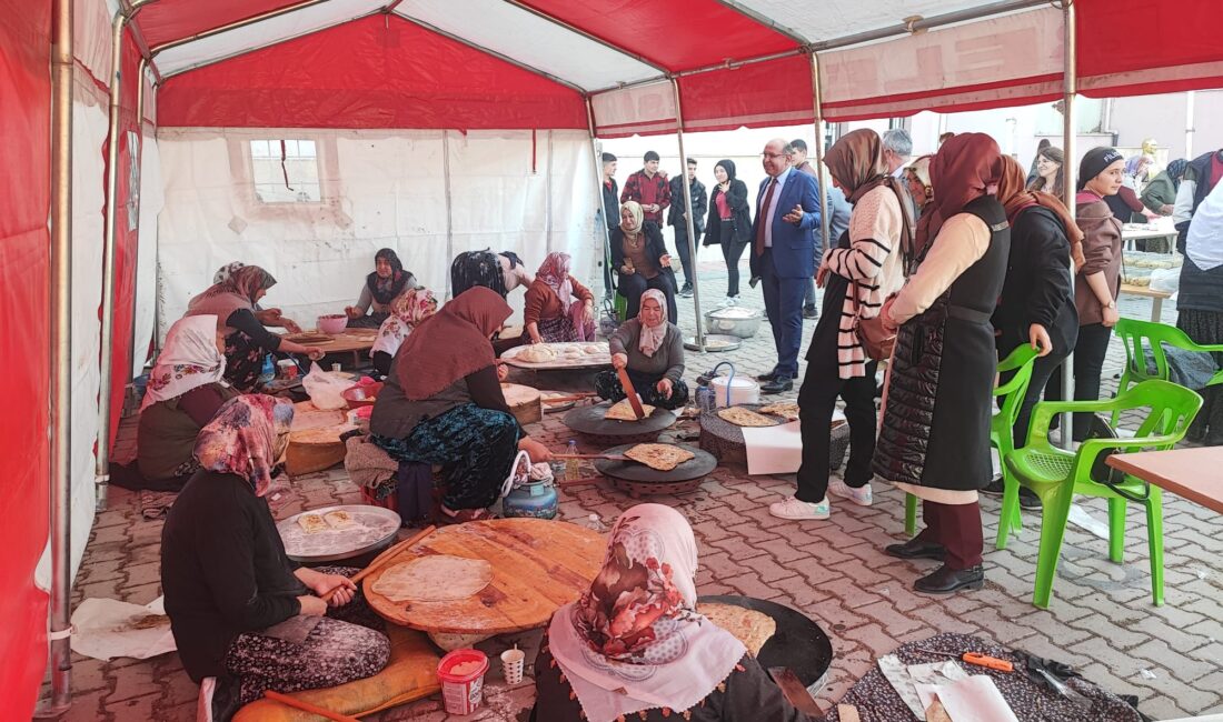 Işıklar Çok Programlı Anadolu Lisesi ve İmam Hatip Ortaokulunun ÇEDES