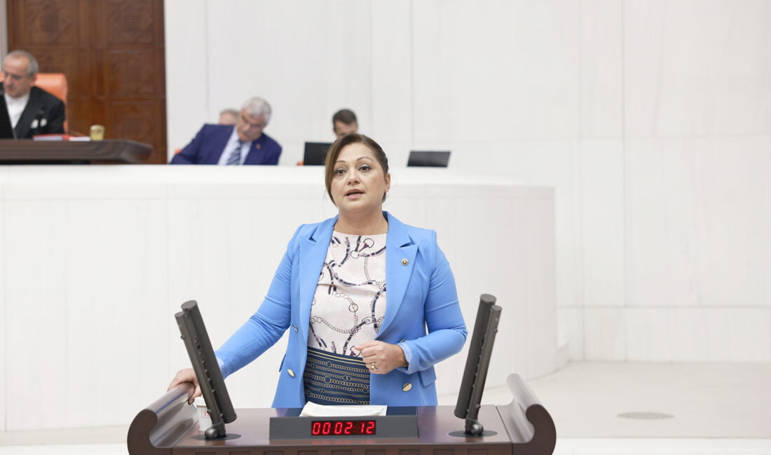 CHP Grup Başkanvekili ve Afyonkarahisar Milletvekili Av. Burcu Köksal, Afyonkarahisar