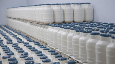 Tarım ve Orman Bakanlığı Tarım İşletmeleri Genel Müdürlüğü (TİGEM), 12