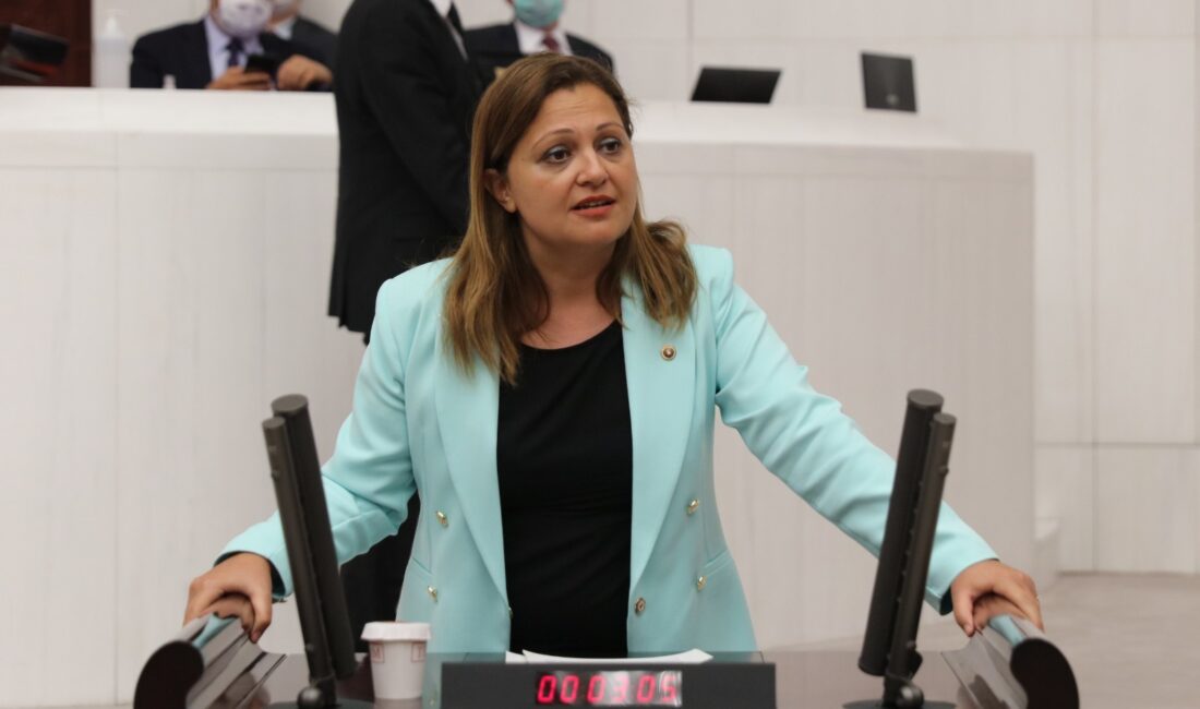 CHP Grup Başkanvekili ve Afyonkarahisar Milletvekili Av. Burcu Köksal, 29